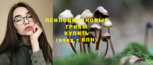 прущий лед Медногорск