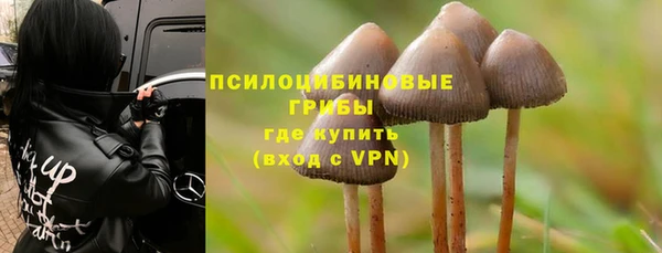 прущий лед Медногорск