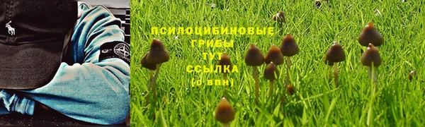 прущий лед Медногорск