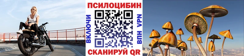 Галлюциногенные грибы Psilocybine cubensis  кракен зеркало  Жуковка 